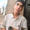 zanl.2