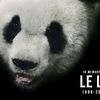 lelelaut_kras