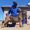 hector_thato_mpete