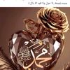 zahid.45679