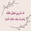 blossom77l