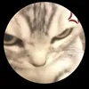 muadongtokyo.zzz