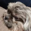 hayley_78821