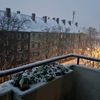 elzbietkaguk