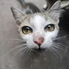 john_michael387