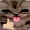 userv1y5we0hs9