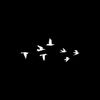 gello2_2