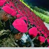 fasil የሠማእቷ ልጅ