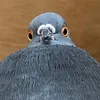 flowie93