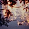 isama91_