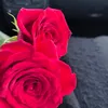 _mme.t