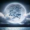 walidhameurlaine33