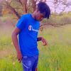 kevin.12794vokeh