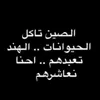 mr_b.b6
