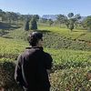 7berbisa