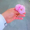 masah849
