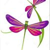 ingridchoez728