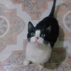nournourr55