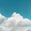 Xolin