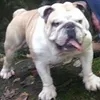 bigmaverick1