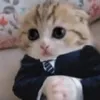 rinmlbb_