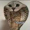 dianita....ff