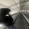 reflexinout