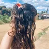 evex_llyn