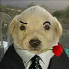 valennnxp