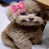 kawaiichanpapi