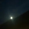 user_251692