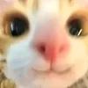 janxz3
