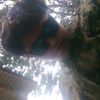 cdtfren0