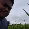 jonbendang
