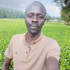 sammykipkorir