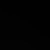 abispa67_