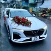 dv.dulich_thuong_mong