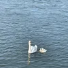 pierremoise27