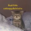 maprangnatrinee