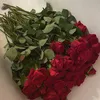 haneen_.28
