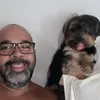 henriqueoliveira1977