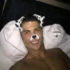 vlnlsnts