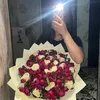 sagdisn_