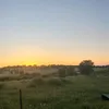 anaaaa_977