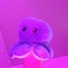 squiddy.sidd