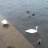 ffffffrrrr5527f0