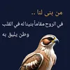 user16380795858000