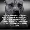 karolaine_22240