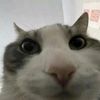 james._.117