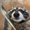 kniferaccoon
